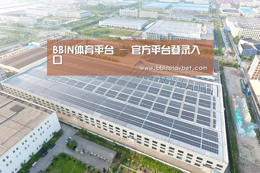 案例展示一
