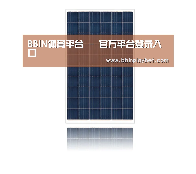 产品名称一