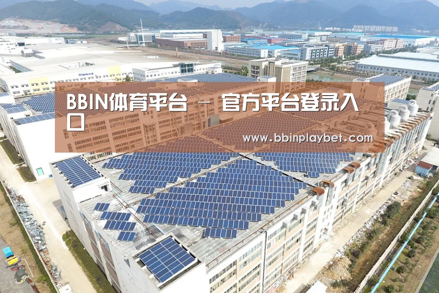 案例展示四