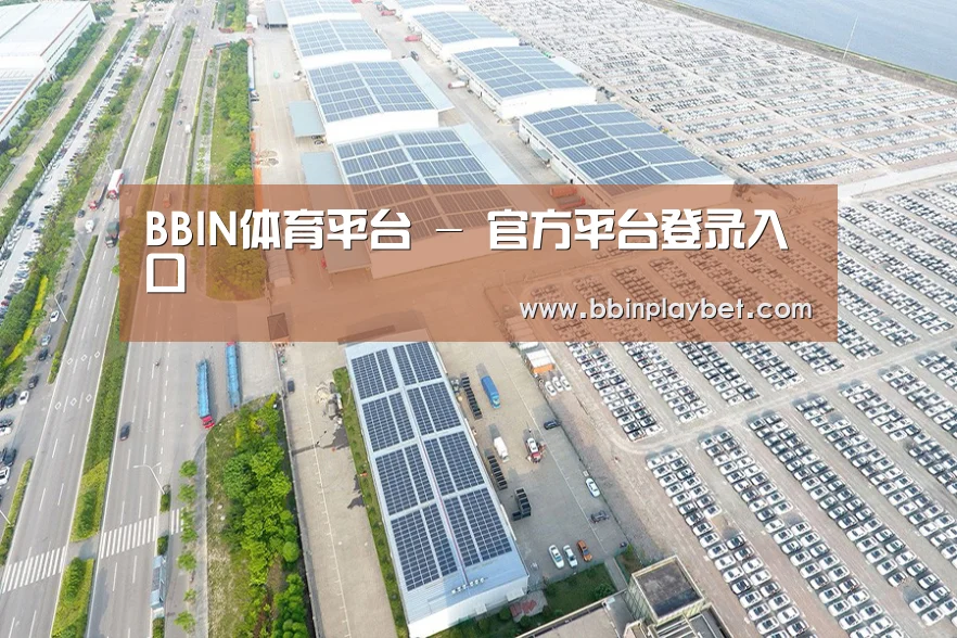 案例展示一