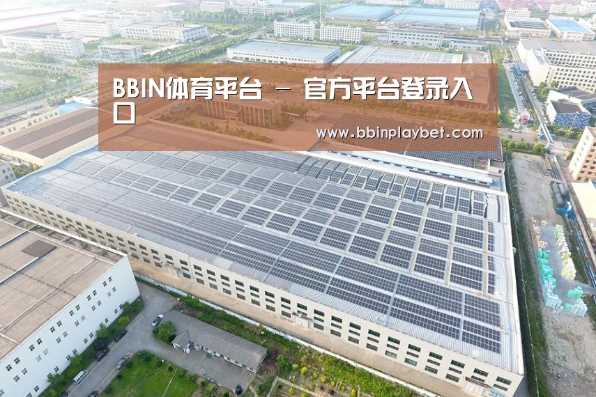 案例展示三