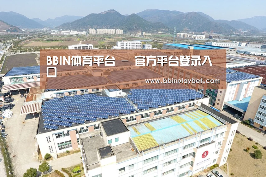 案例展示三
