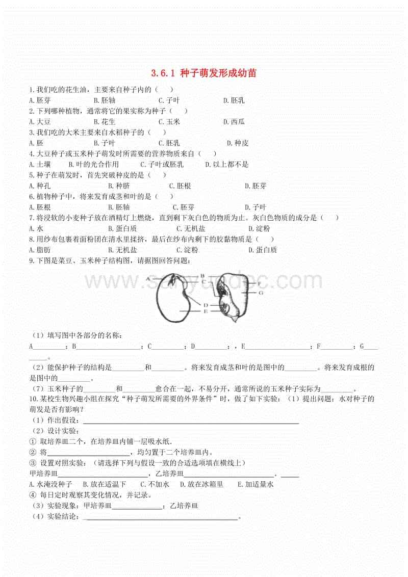 BBIN娱乐城，BBIN电竞，BBIN捕鱼，BBIN入口