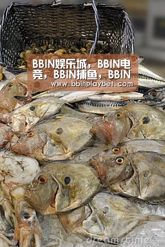 BBIN娱乐城，BBIN电竞，BBIN捕鱼，BBIN入口